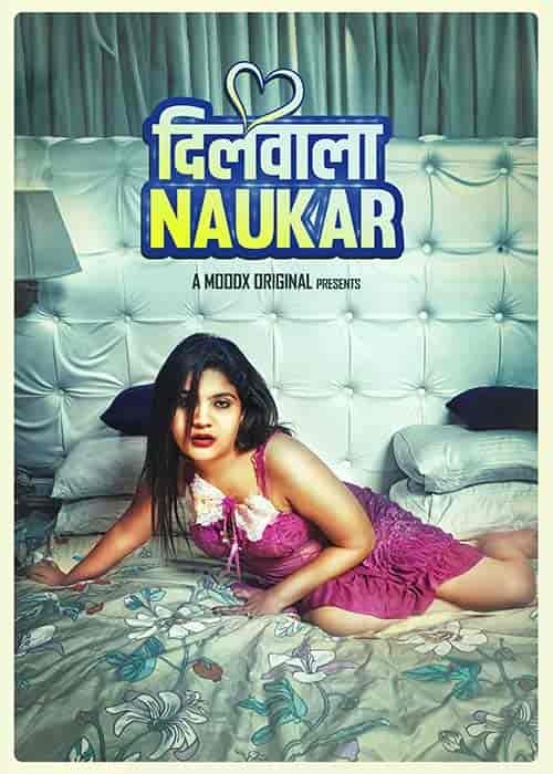 Dilwala Naukar